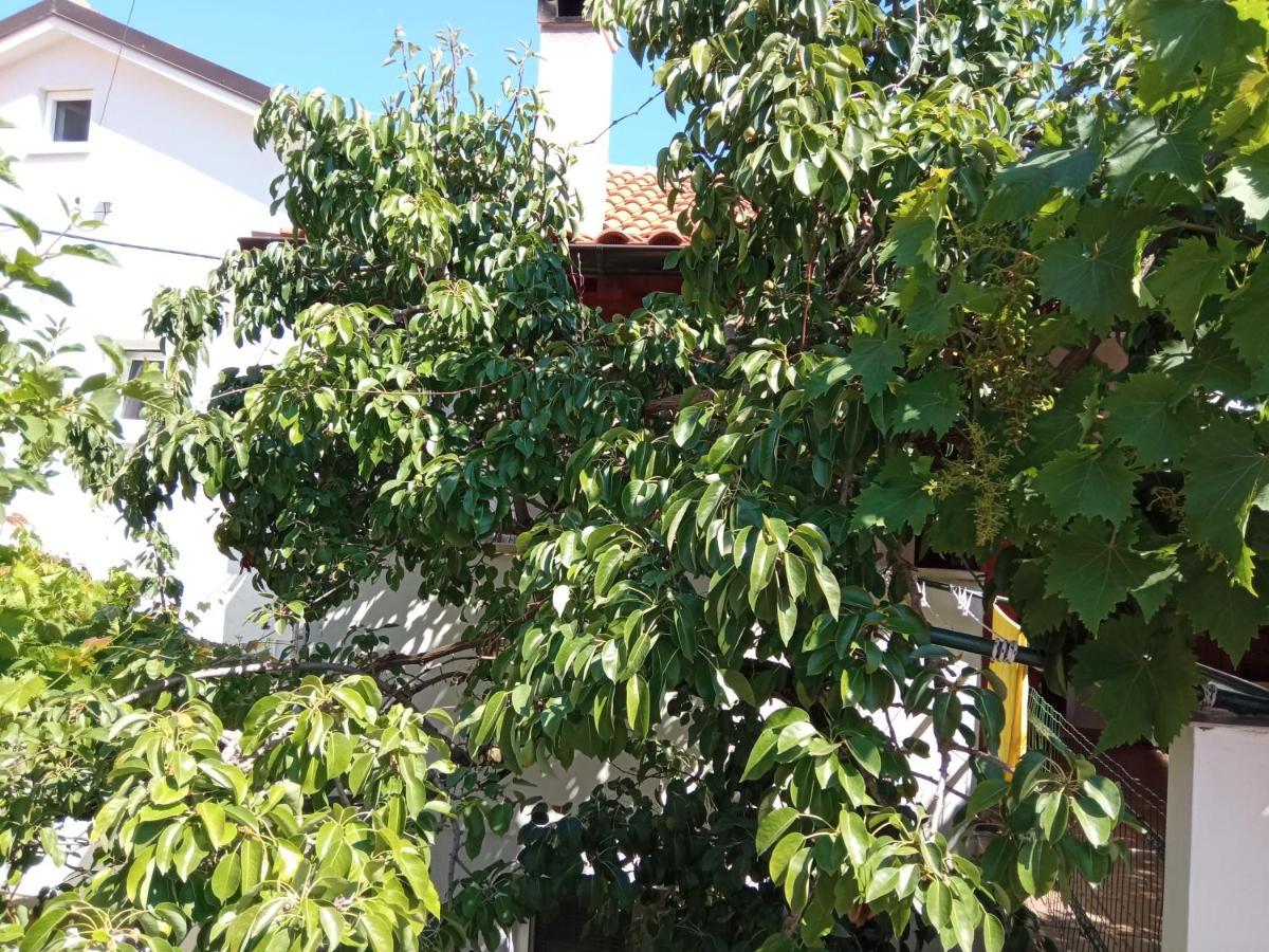 Apartments Antares Mali Lošinj Εξωτερικό φωτογραφία