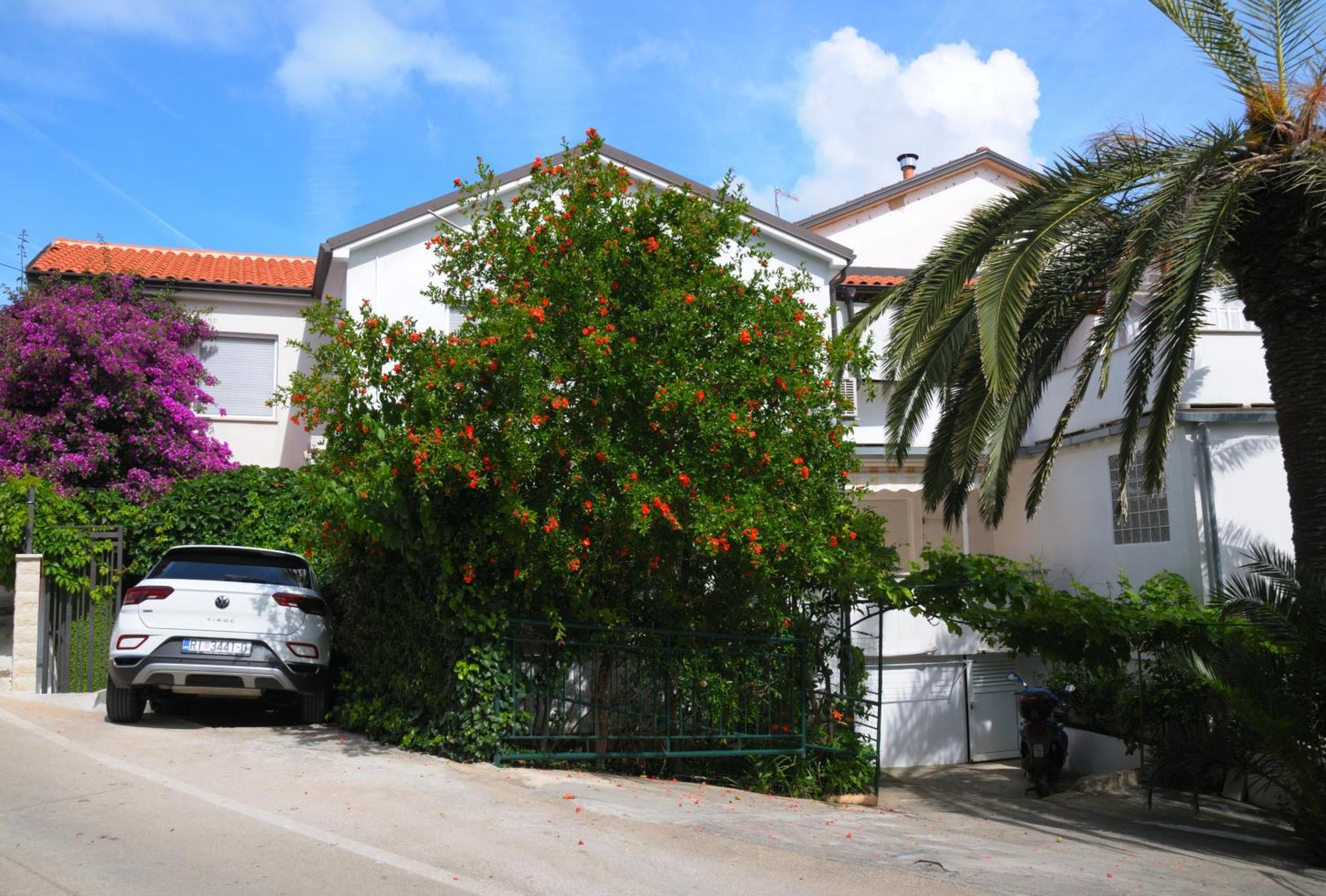 Apartments Antares Mali Lošinj Εξωτερικό φωτογραφία