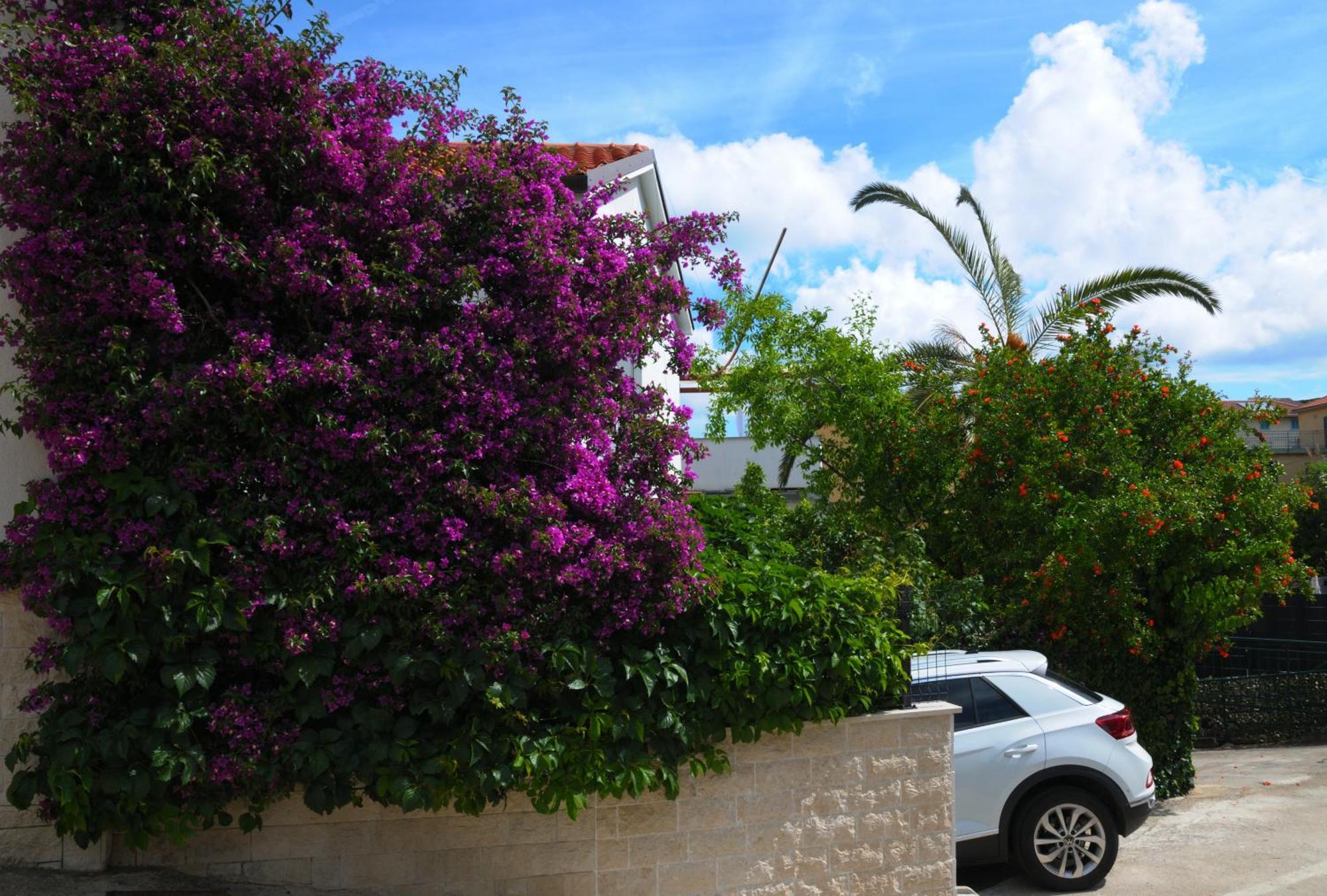 Apartments Antares Mali Lošinj Εξωτερικό φωτογραφία